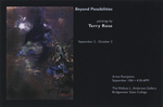 Beyond Possibilities: Paintings by Terry Rose