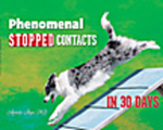 Phenomenal Stopped Contacts in 30 Days by Amanda Shyne